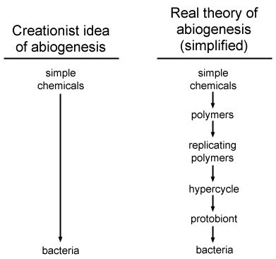 probability of abiogenesis.